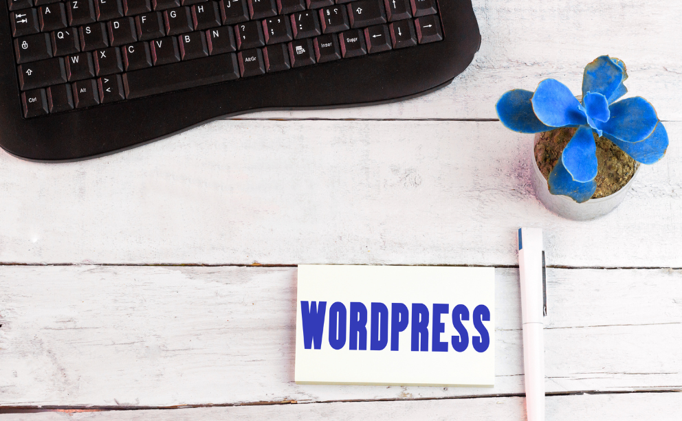 Warum WordPress die Konkurrenz einfach abhängt
